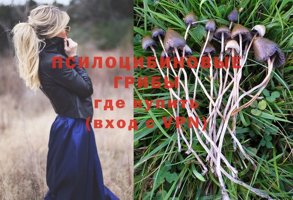 дурь Балабаново