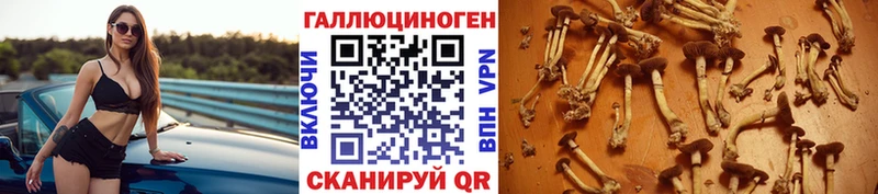Псилоцибиновые грибы ЛСД  Заозёрный 